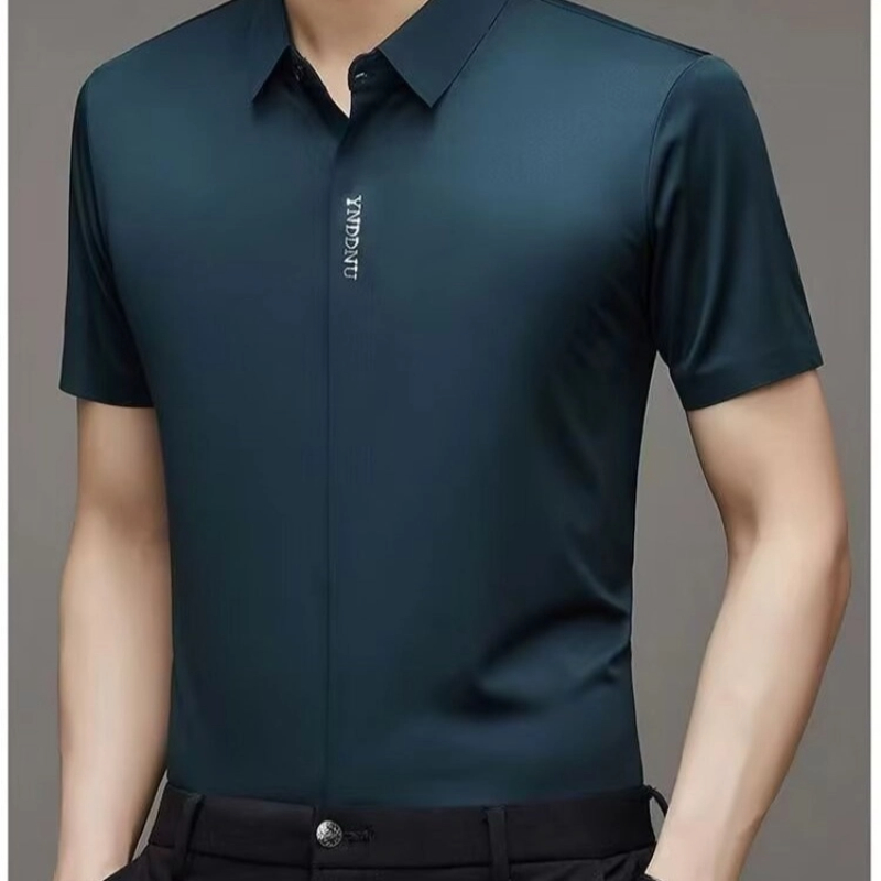 Men Formal Wear For Summer - MenS Wrinkle Free Long Sleeve Dress
